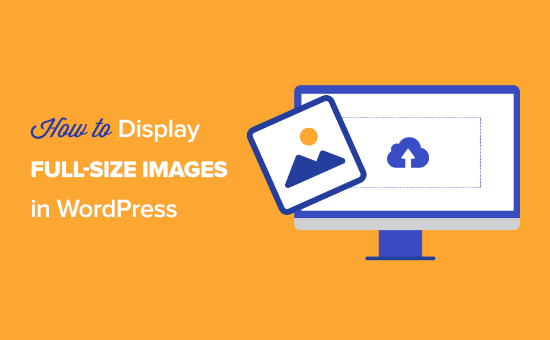 display full size images wordpress opengraph