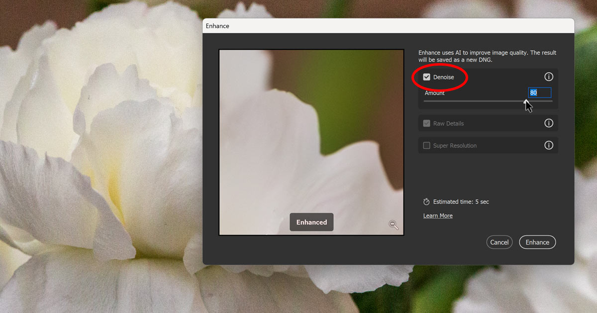 How to Remove Noise from Photos with Denoise in Adobe
