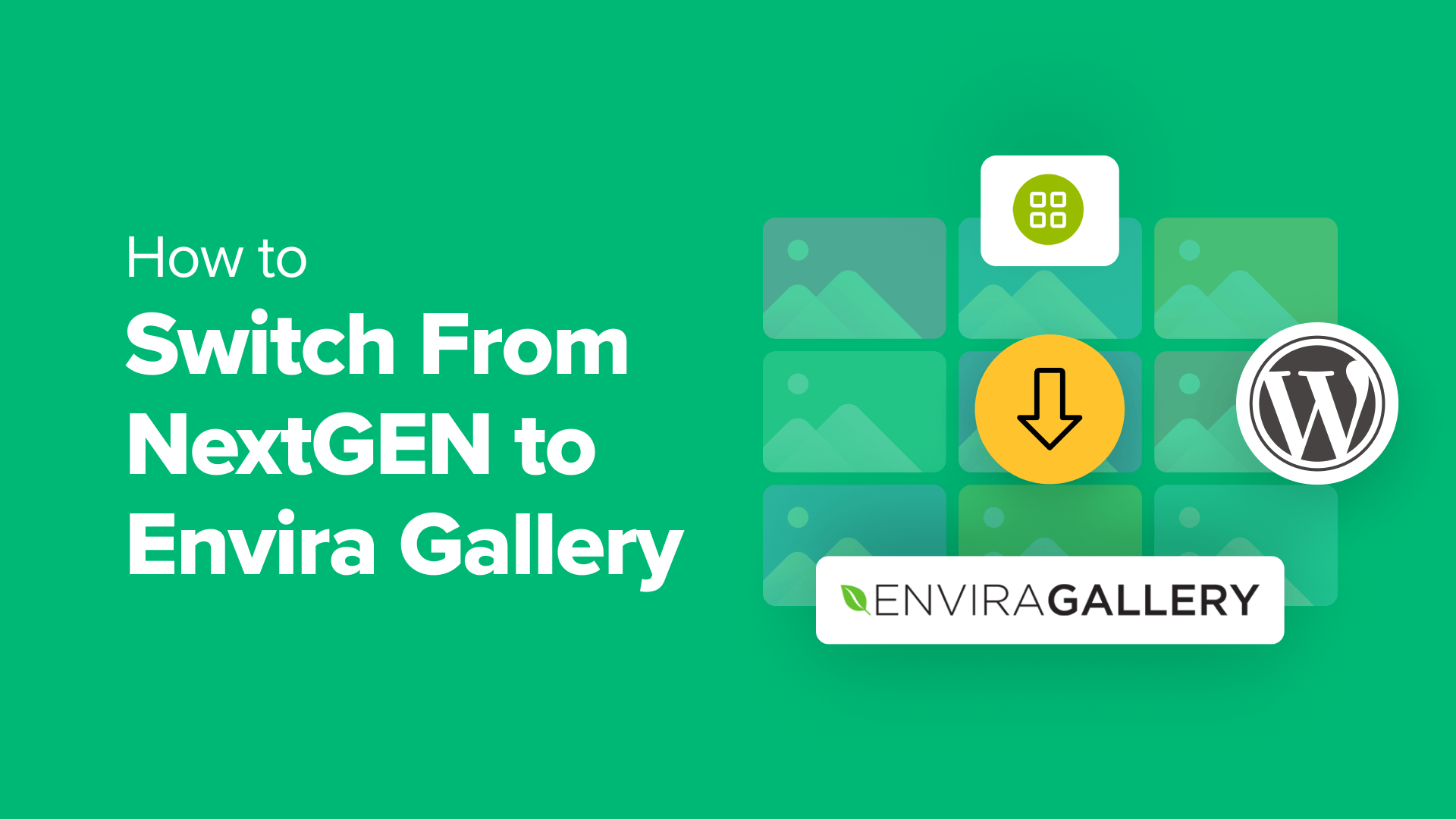 how to switch from NextGEN to Envira gallery Facebook